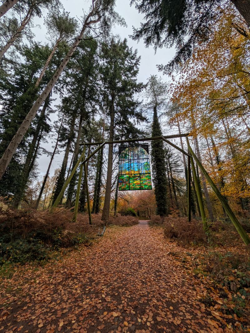 a stained-glass panel hung from a timber frame across a leaf-covered forest path, autumn beech on one side and dark conifers on the other